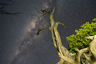 Dika Soul Seva Photo | Product Designer | UI / UX Designer