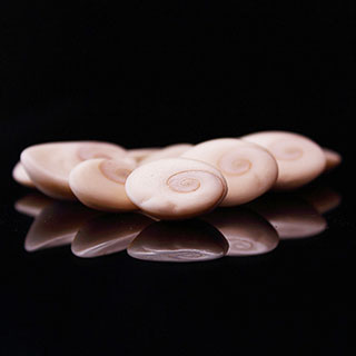 Dika Soul Seva Photo | Product Designer | UI / UX Designer