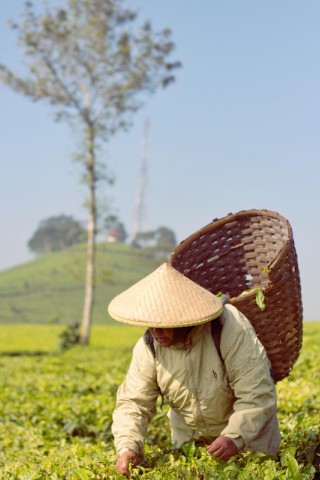 Dika Soul Seva Photo | Product Designer | UI / UX Designer