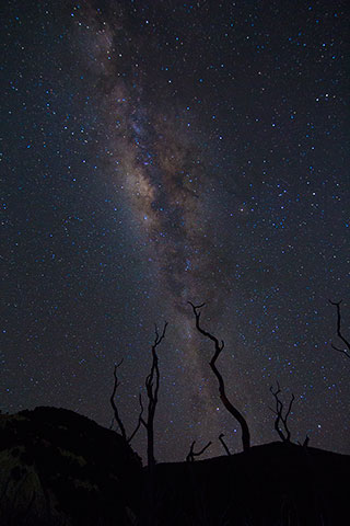 Dika Soul Seva Photo | Product Designer | UI / UX Designer